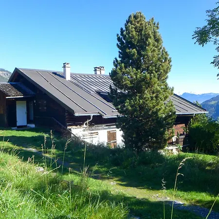 Anthamatten-1 By Interhome Lejlighed